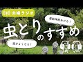 虫取りのススメ|虫取りはこんなに子どもの成長によかった!【息子登場回】【暮らしの夫婦ラジオ】