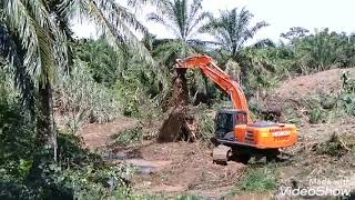 Kebun Sawit Tua,Tanah Terbiar Dan Semak.Apa Nak Buat ????? Ini Penyelesaiannya.