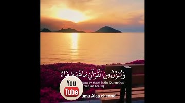😎"وَنُنَزِّلُ مِنَ الْقُرْآنِ مَا هُوَ شِفَاءٌ وَرَحْمَةٌ لِّلْمُؤْمِنِينَ"  ❀ القارئ 🎤 رعد الكردي