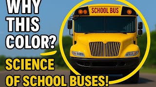 Why Are School Buses Yellow? | The Surprising Science Behind the Color #schoolbus