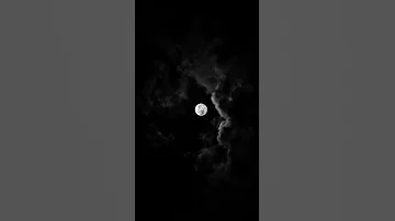 ٣١ أغسطس ٢٠٢٥ 
