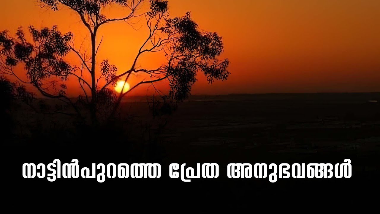 നാട്ടിൻപുറത്തെ പ്രേത അനുഭവങ്ങൾ | horror story malayalam | ghost story malayalam