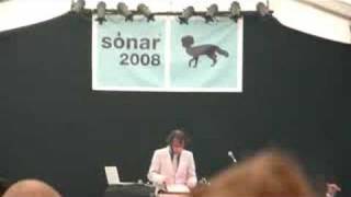 Daedelus @ Sonar 2008 - Friday 20 June by day