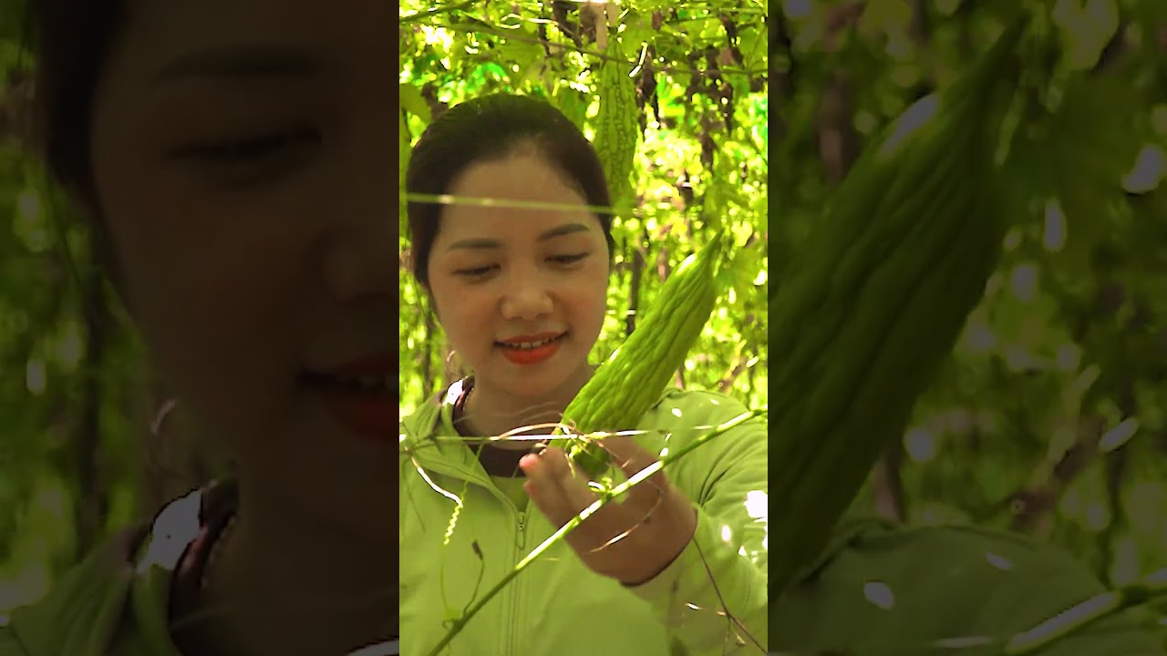 Come Fruit Picking This Summer. Do You Know Bitter Melon Fruit?  