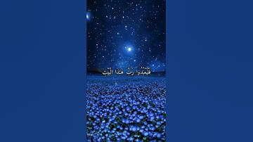 قرآن كريم القارئ ماهر المعيقلي سورة (قريش)