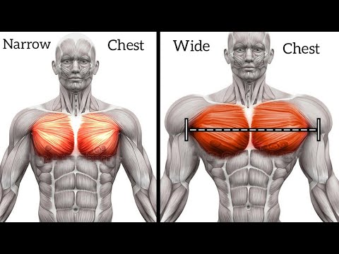 Exercises for Bigger Chest Workout to Get Wide Pecs 