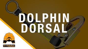 KwikSafety | Dolphin Dorsal D-Ring Extender | Features & Specs