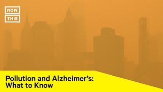 Does Pollution Increase The Risk Of Alzheimer's?