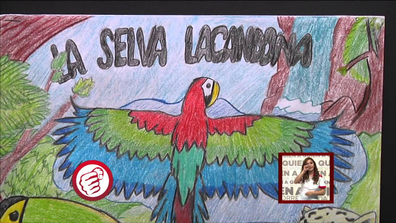 Concurso Que Viva La Selva Lacandona Youtube