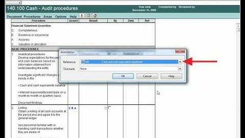CaseWare Audit: Complete Work Programs