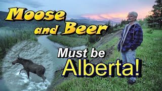 Moose and Beer: Must be Alberta!