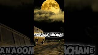 H  A  T  U  A  C  H  A  N  I  shunsato shunsato shugo shigo