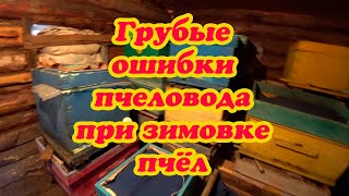 ГРУБЫЕ ОШИБКИ ПЧЕЛОВОДА ПРИ ЗИМОВКЕ ПЧЁЛ.