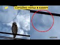 Черные объекты в небе ( Снято в Небе - Климчук ТВ ) НЛО 2023 ( Подборка видео ) UFO SKY 2023