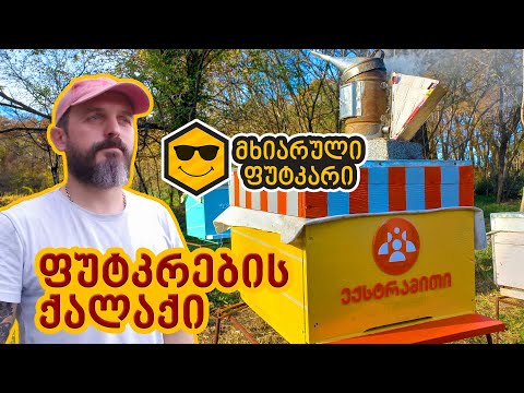 ფუტკრების ქალაქი – ექსტრამითი (Extrameat)