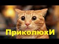 ЛУЧШИЕ ПРИКОЛЫ 2019 Апрель #66 Ржач до слез, угар, приколы - ПРИКОЛЮХА ХАХАХА