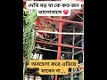 #joy boro maa🙏#subcribe 👈