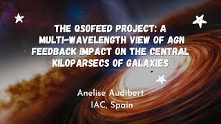 The QSOFEED project: a multi-wavelength view of AGN feedback impact on the central kpcs of galaxies