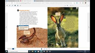 Amazing Wildlife of the Mojave