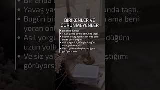 Birikenler Ve Görünmeyenler