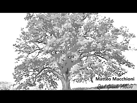 Matteo Macchioni - Quel grande albero