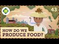 How do we produce food crash course geography 43