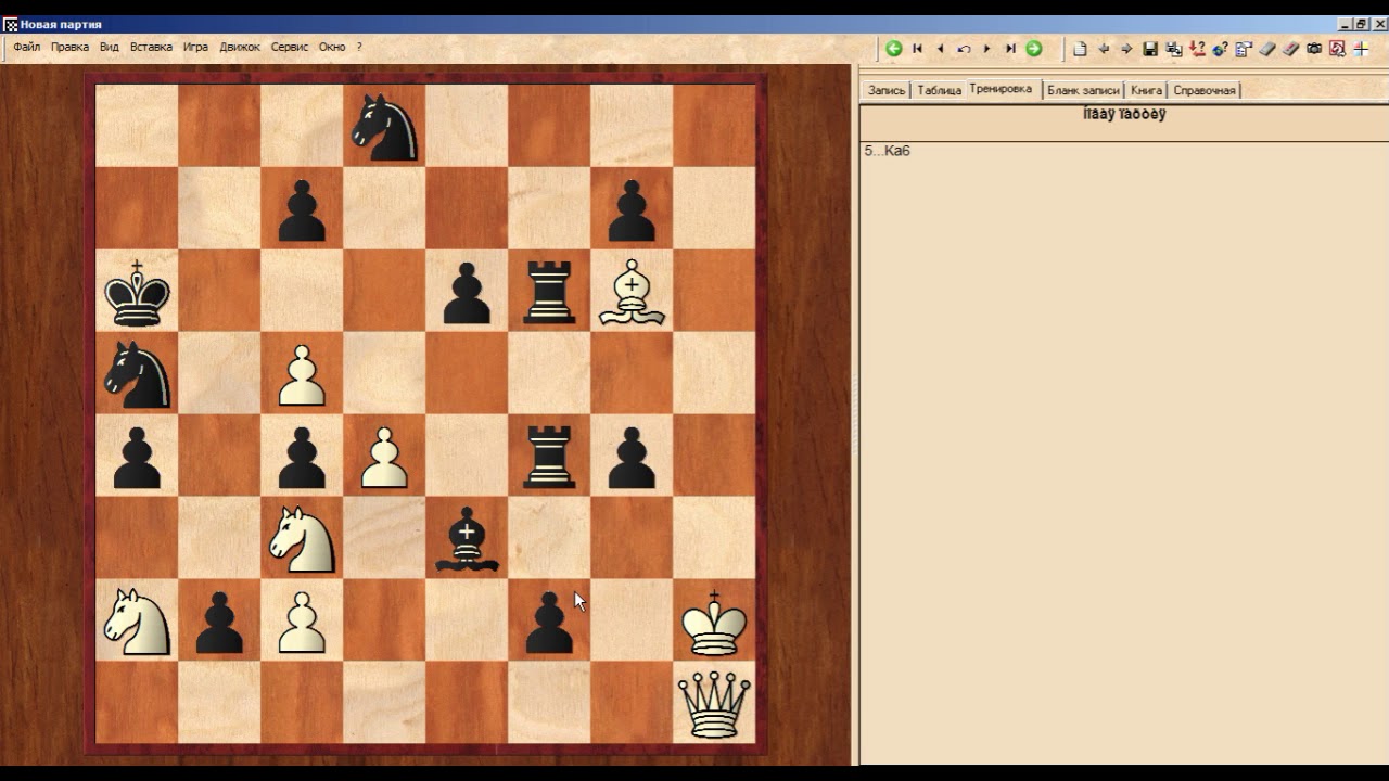 шахматы разбор