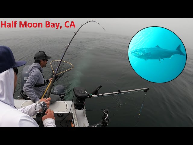 King Salmon Fishing in 4k w/ Underwater Camera 