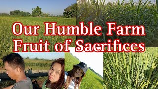 OUR HUMBLE FARM||FRUIT OF SACRIFICES AND HARDWORK
