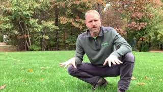 Late Fall Aeration and the benefits for your lawn