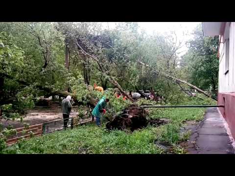 ураган в бескудниково
