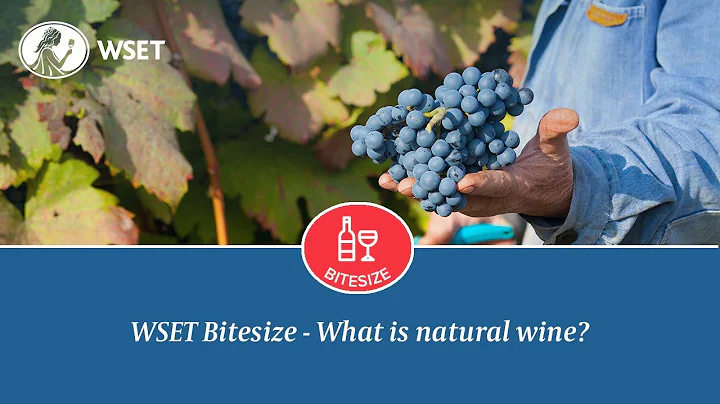 WSET Bitesize - What is natural wine? - DayDayNews