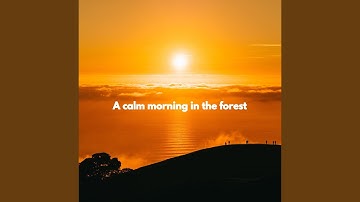 Delightful Backdrops for Forgetting Summer