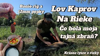 Lov Kapra na rieke s PopUp boilies 3x5 hodín pri vode #rybolov #kapor #lovryb