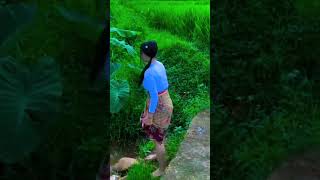 Cewe Cantik Pipis Bikin Lucu Ngakak Hibran