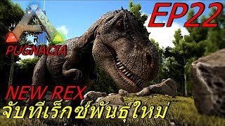 BGZ - ARK Pugnacia Plus EP#22 จับทีเร็กซ์พันธุ์ใหม่ New Rex