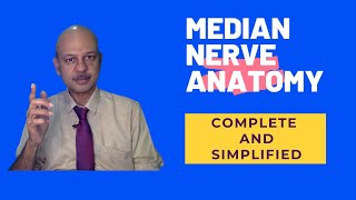 Median Nerve Anatomy: Complete and Simplified