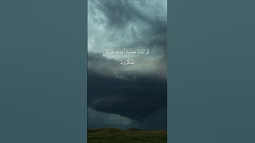 القارئ سالم الرويلي - سورة الواقعة | مقاطع قرآن قصيرة وحالات واتس إسلامية 🌱
