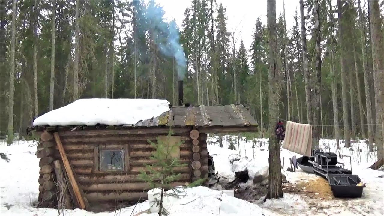 Жизнь в глухой тайге видео. Домик отшельника в тайге. Таежный быт. Отшельники живущие в тайге в одиночку. Жизнь отшельников в глухой тайге.