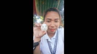 EGG BABY PROJECT FOR NSTP