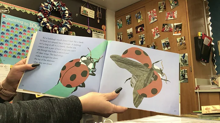 Bugs are Insects