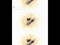 シャンクス - Shanks