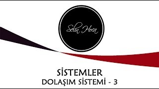 Download 16 Dolaşım Sistemi - Kan - Lenf Dolaşımı - Kan Grupları - 11. Sınıf Biyoloji Y Video MP3 16 Dolaşım Sistemi - Kan - Lenf Dolaşımı - Kan Grupları - 11. Sınıf Biyoloji Y