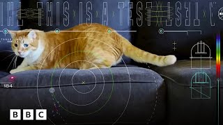 Nasa space lasers beam cat video 19 million miles | BBC Global