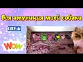 Вся амуниция моей собаки // Амуниция для йоркширского терьера