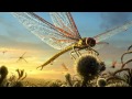 Интеллект насекомых (рассказывает энтомолог Владимир Карцев)