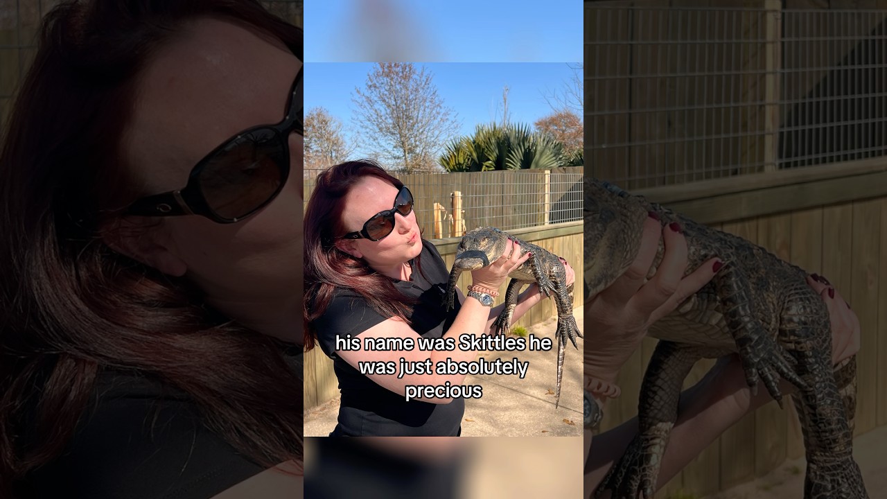 Calling all ALLIGATOR LOVERS! Add this place to your list.