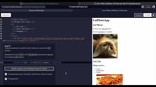 FreeCodeCamp - Responsive Web Design - Step 27 of 71 -  Learn HTML by Building a Cat Photo App