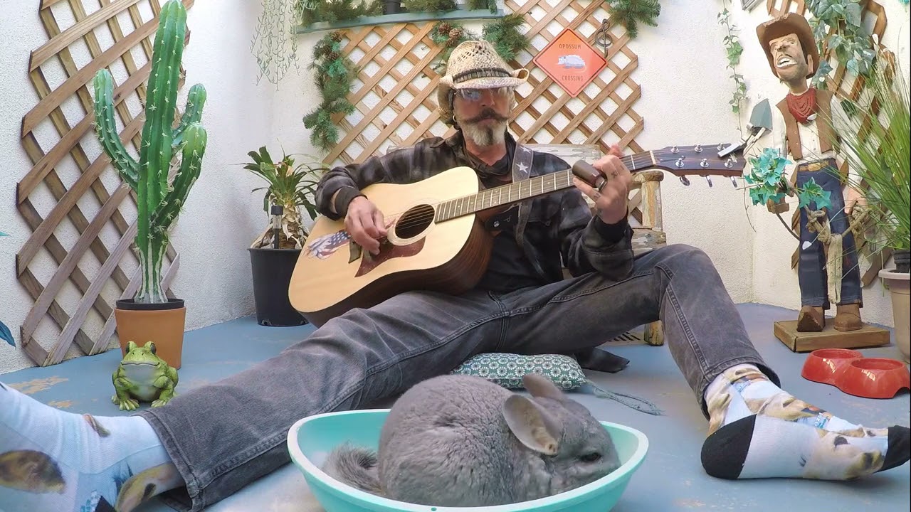 Cutest Bath Time You Will Ever See - Music For Animals