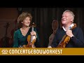 First violinist Marijn Mijnders and principal second violinist Henk Rubingh | Concertgebouworkest